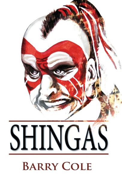 Produktbild: Shingas