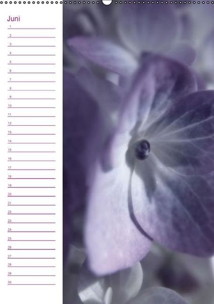 Produktbild: Bl&uuml;tentr&auml;ume Geburtstagskalender (Wandkalender immerw&auml;hrend DIN A2 hoch)