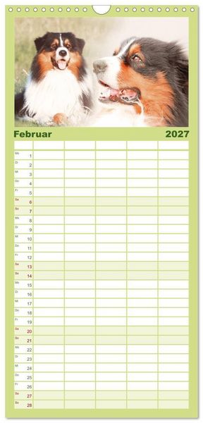 Produktbild: Familienplaner 2027 - Australian Shepherd - H&uuml;tehunde mit Familienanschluss mit 5 Spalten (Wandkalender, 21 x 45 cm) CALVENDO