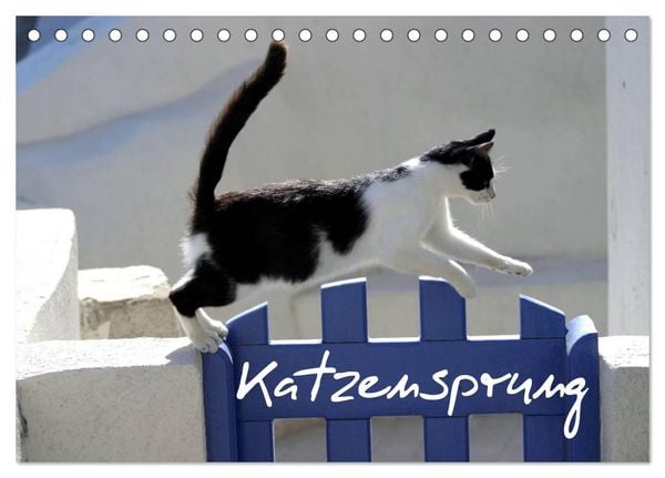 Produktbild: Katzensprung (Tischkalender 2026 DIN A5 quer), CALVENDO Monatskalender