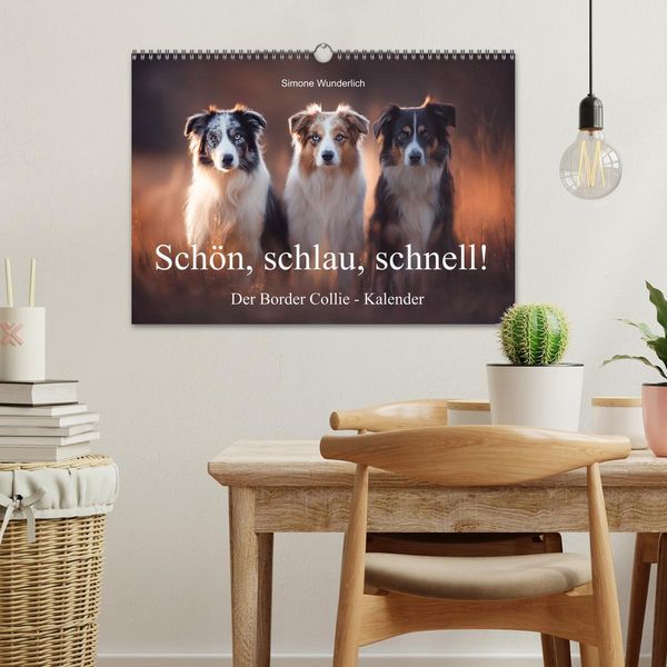 Produktbild: Sch&ouml;n, schlau, schnell! - Der Border Collie - Kalender (Wandkalender 2026 DIN A3 quer), CALVENDO Monatskalender