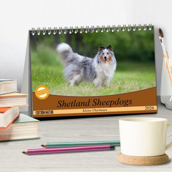 Produktbild: Shetland Sheepdogs - Kleine Charmeure (Tischkalender 2026 DIN A5 quer), CALVENDO Monatskalender