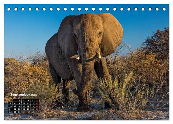 Produktbild: Blickpunkte in Namibia (Tischkalender 2026 DIN A5 quer), CALVENDO Monatskalender