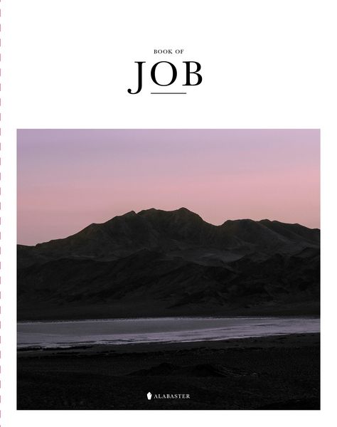 Produktbild: Book of Job (Sc, Nlt)