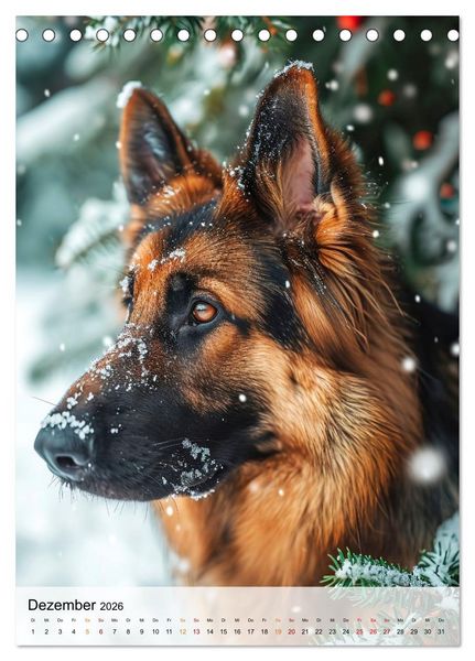Produktbild: Deutscher Sch&auml;ferhund - mutig und zuverl&auml;ssig (Tischkalender 2026 DIN A5 hoch), CALVENDO Monatskalender