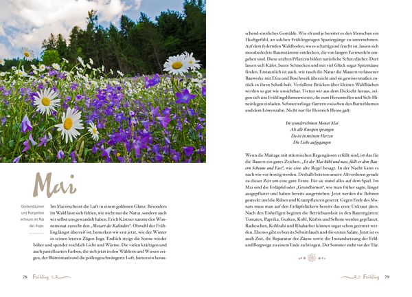 Produktbild: Die Alpenphilosophie