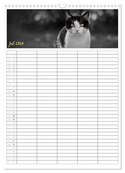 Produktbild: Miezekatzen Planungskalender (Wandkalender 2026 DIN A3 hoch), CALVENDO Monatskalender