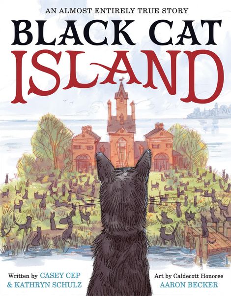 Produktbild: Black Cat Island