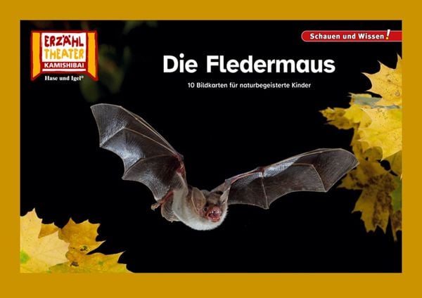Produktbild: Die Fledermaus / Kamishibai Bildkarten