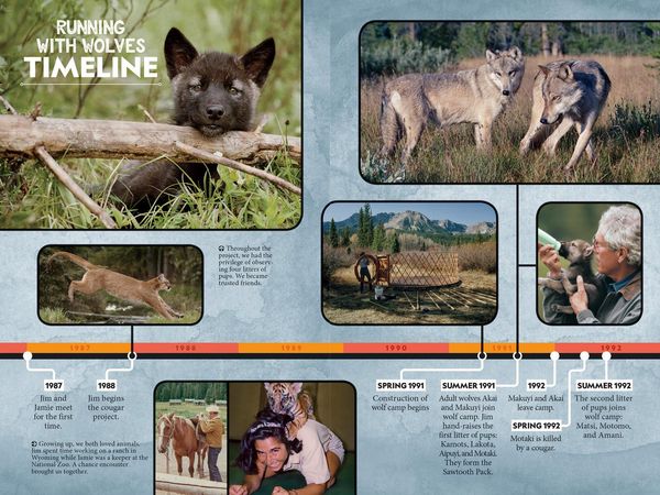 Produktbild: Running with Wolves