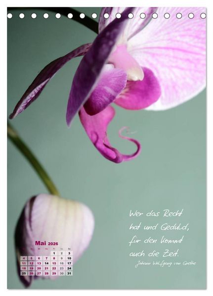 Produktbild: Blumen & Zitate (Tischkalender 2026 DIN A5 hoch), CALVENDO Monatskalender