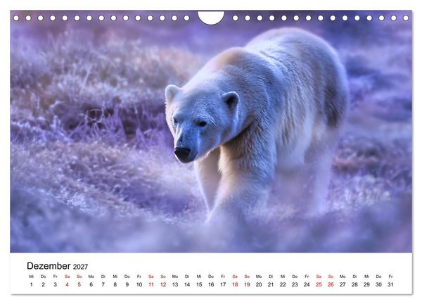 Produktbild: K&ouml;nige des Nordens - Begegnungen mit Eisb&auml;ren (Wandkalender 2027 DIN A4 quer), CALVENDO Monatskalender