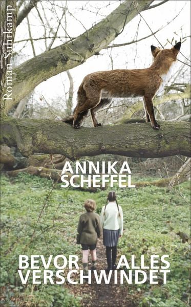 Produktbild: Bevor alles verschwindet