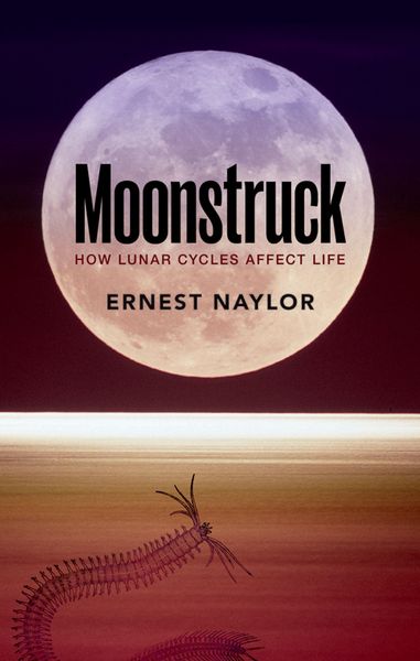 Produktbild: Moonstruck