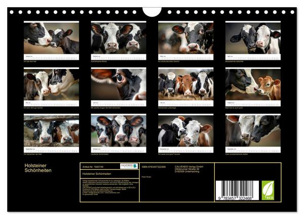 Produktbild: Holsteiner Sch&ouml;nheiten (Wandkalender 2026 DIN A4 quer), CALVENDO Monatskalender