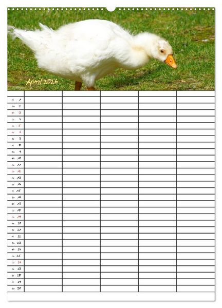 Produktbild: Bauernhoftiere Familienplaner (Wandkalender 2026 DIN A2 hoch), CALVENDO Monatskalender
