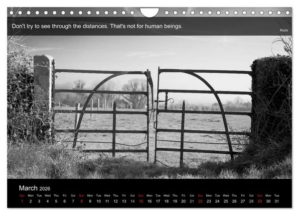Produktbild: Through the Gate with Rumi (Wall Calendar 2026 DIN A4 landscape), CALVENDO 12 Month Wall Calendar