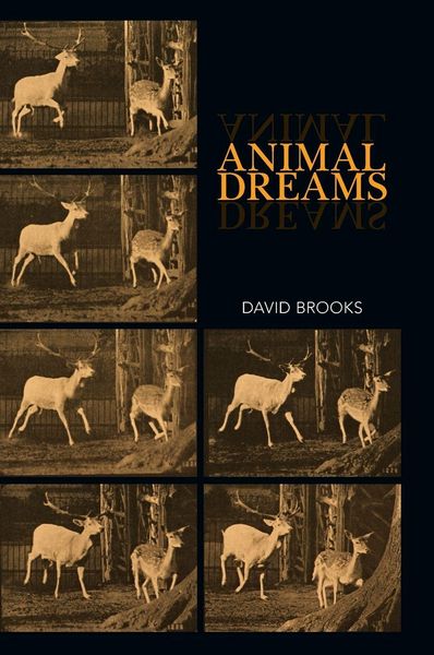 Produktbild: Animal Dreams