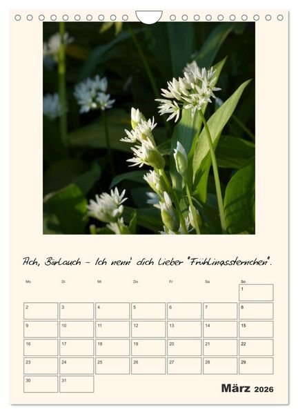 Produktbild: Gartengeschichten (Wandkalender 2026 DIN A4 hoch), CALVENDO Monatskalender