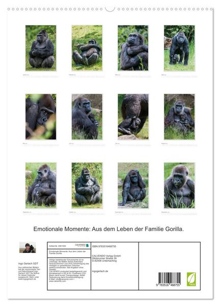 Produktbild: Emotionale Momente: Aus dem Leben der Familie Gorilla. (hochwertiger Premium Wandkalender 2026 DIN A2 hoch), Kunstdruck in Hochglanz