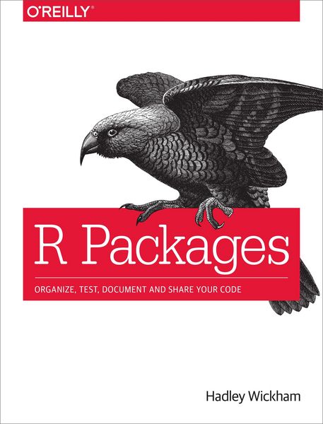 Produktbild: R Packages