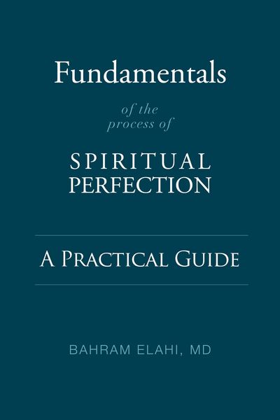 Produktbild: Fundamentals of the Process of Spiritual Perfection