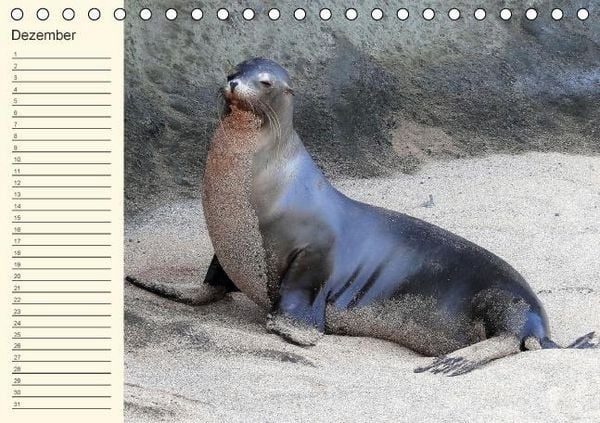 Produktbild: Gal&aacute;pagos Geburtstagskalender (Tischkalender immerw&auml;hrend DIN A5 quer)