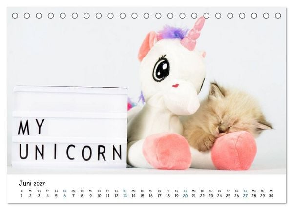 Produktbild: Tierkinder ganz frech (Tischkalender 2027 DIN A5 quer), CALVENDO Monatskalender