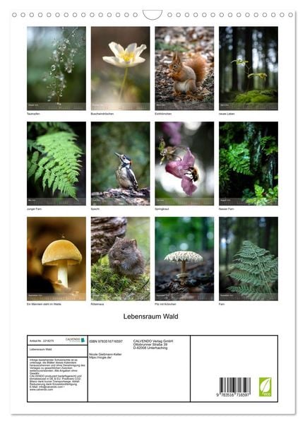 Produktbild: Lebensraum Wald (Wandkalender 2026 DIN A3 hoch), CALVENDO Monatskalender