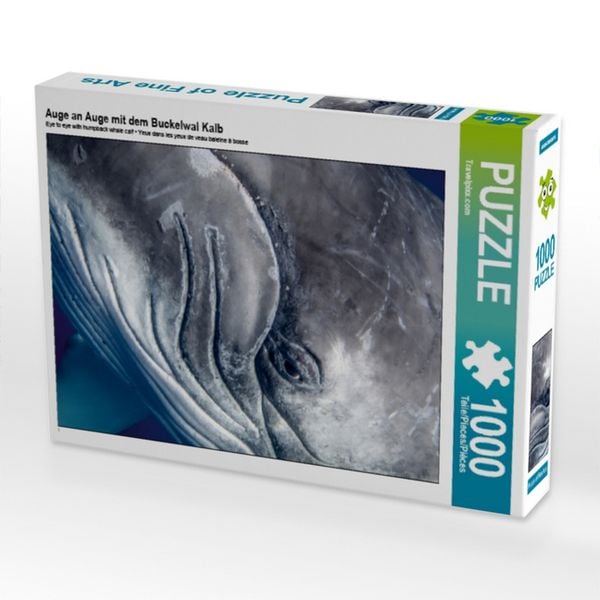 Auge an Auge mit dem Buckelwal Kalb (Puzzle)