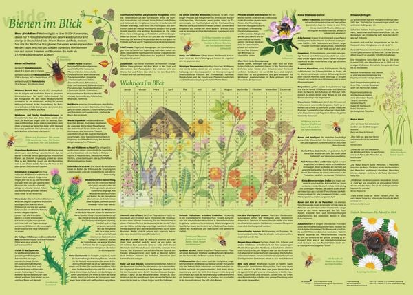 Produktbild: Erlebnisposter "Bienen im Blick"