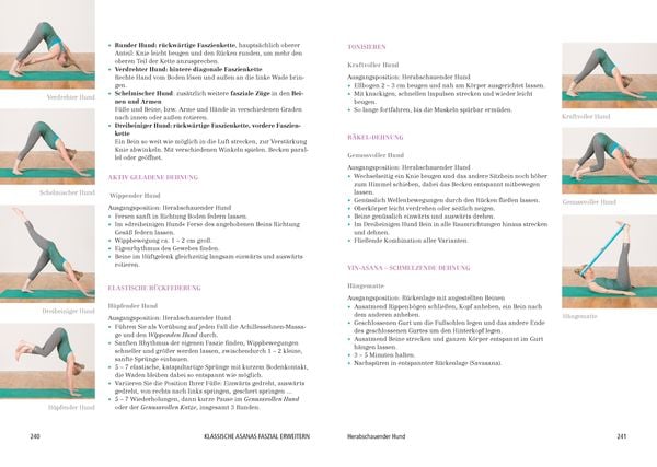 Produktbild: Das gro&szlig;e Faszien-Yoga Buch