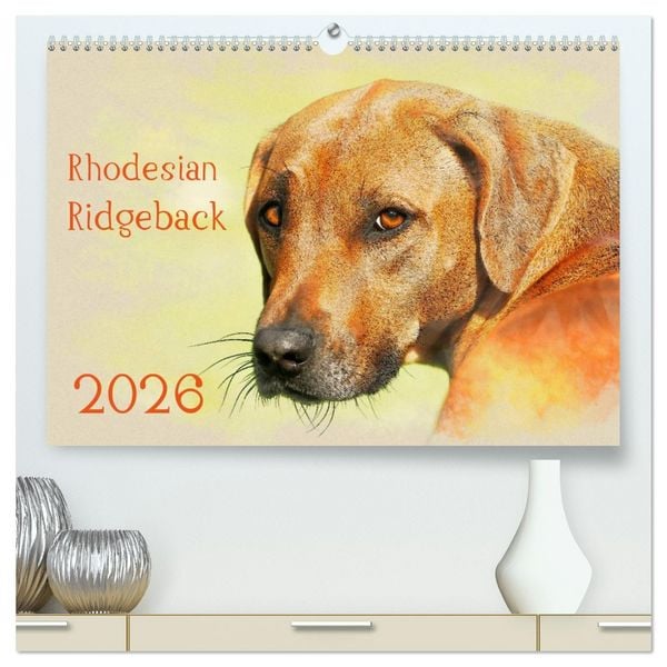Produktbild: Rhodesian Ridgeback 2026 (hochwertiger Premium Wandkalender 2026 DIN A2 quer), Kunstdruck in Hochglanz