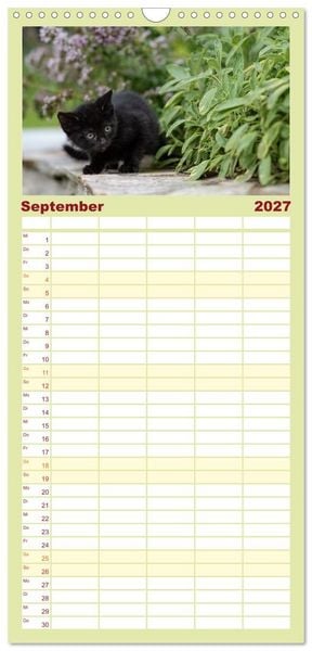 Produktbild: Familienplaner 2027 - Kitten auf Entdeckungsreise mit 5 Spalten (Wandkalender, 21 x 45 cm) CALVENDO