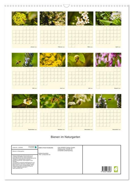 Produktbild: Bienen im Naturgarten (Wandkalender 2026 DIN A2 hoch), CALVENDO Monatskalender