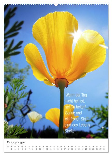 Produktbild: Licht Farbe Natur (Wandkalender 2026 DIN A2 hoch), CALVENDO Monatskalender