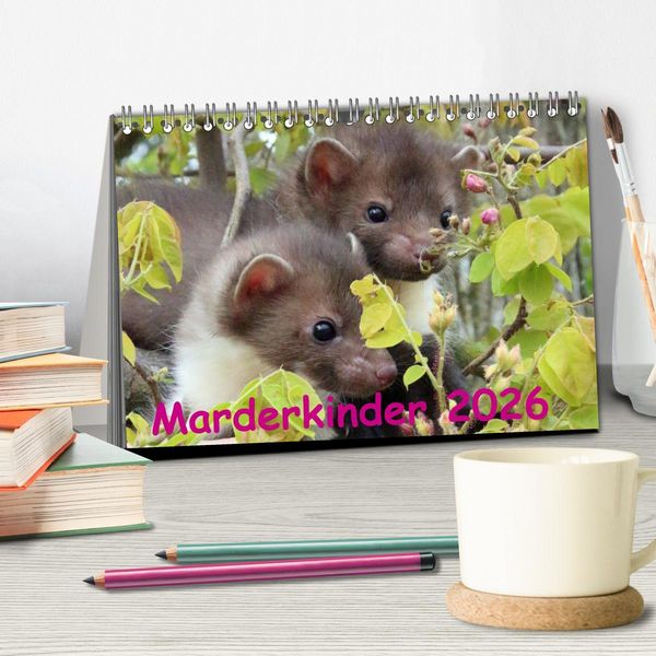 Produktbild: Marderkinder (Tischkalender 2026 DIN A5 quer), CALVENDO Monatskalender