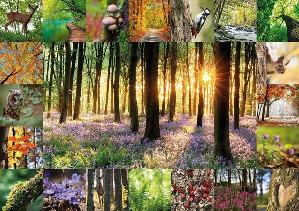 Produktbild: Waldbaden Puzzle