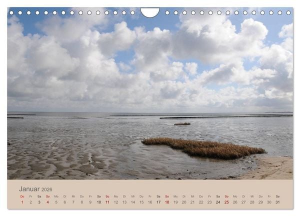 Produktbild: Sylt-Momente (Wandkalender 2026 DIN A4 quer), CALVENDO Monatskalender