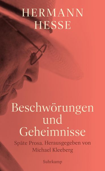 Produktbild: Beschw&ouml;rungen und Geheimnisse