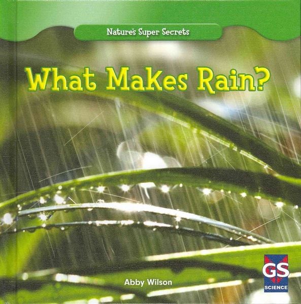 Produktbild: What Makes Rain?