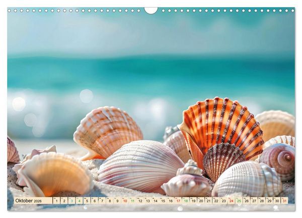 Produktbild: Faszination Muscheln (Wandkalender 2026 DIN A3 quer), CALVENDO Monatskalender
