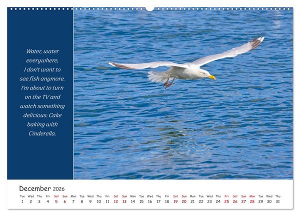 Produktbild: Animals like humour (High Quality Premium Wall Calendar 2026 DIN A2 landscape),CALVENDO 12 Month Wall Calendar