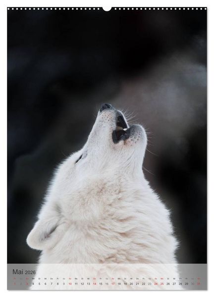 Produktbild: Emotionale Momente: Der Wolf. (hochwertiger Premium Wandkalender 2026 DIN A2 hoch), Kunstdruck in Hochglanz