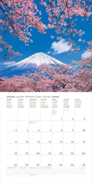 Produktbild: Aufgebl&uuml;ht - KUNTH Broschurkalender 2027