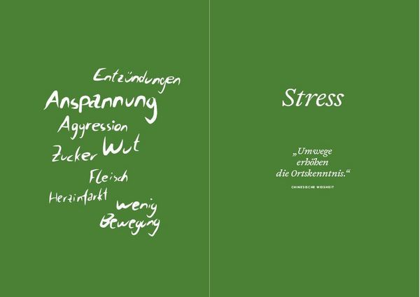 Produktbild: Frei von Stress durch die Heilung der Mitte