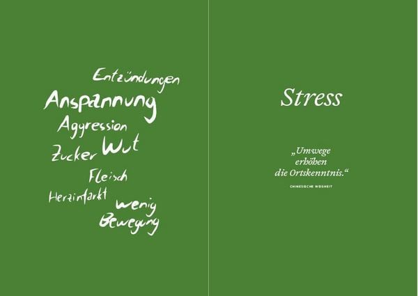 Produktbild: Frei von Stress durch die Heilung der Mitte