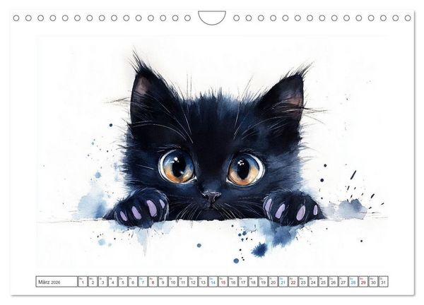 Produktbild: Samtpfoten-Sinfonie (Wandkalender 2026 DIN A4 quer), CALVENDO Monatskalender