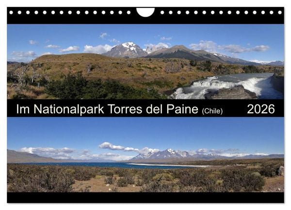 Produktbild: Im Nationalpark Torres del Paine (Chile) (Wandkalender 2026 DIN A4 quer), CALVENDO Monatskalender