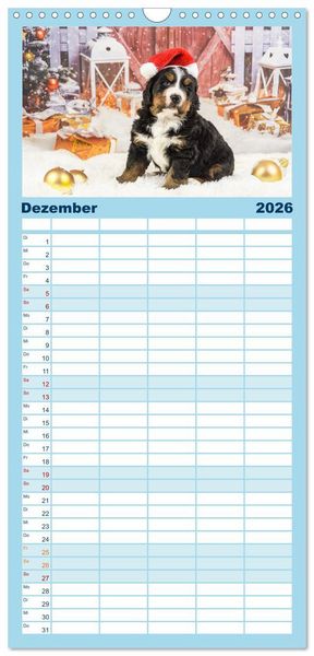 Produktbild: Familienplaner 2026 - Berner Sennenhunde - Faszinierende Herzensbrecher mit 5 Spalten (Wandkalender, 21 x 45 cm) CALVENDO